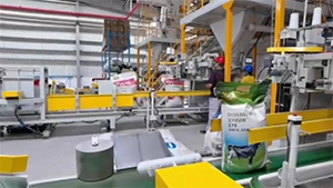 Cân Đóng Bao Định Lượng Bằng Băng Tải